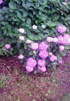 あまり突っ込まないでください。