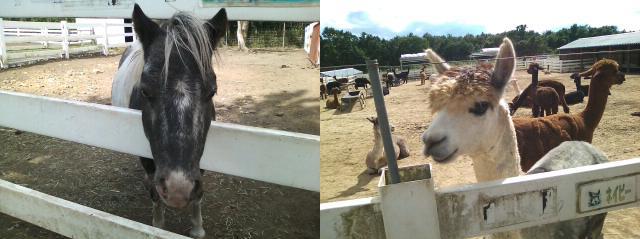 那須にレッツゴー！！