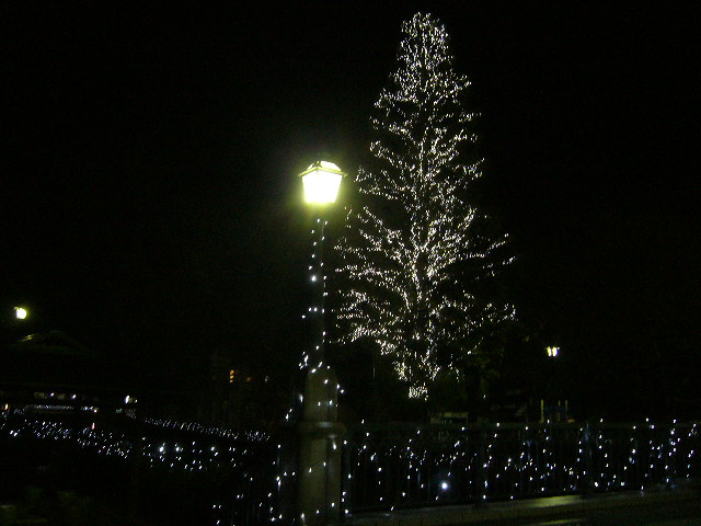 イルミネーション！！