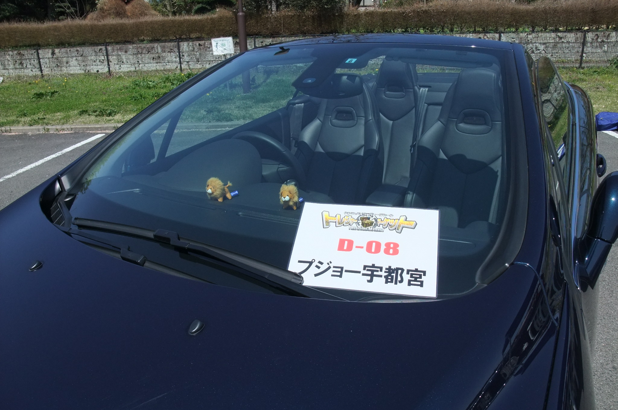 トレジャーマーケット！！