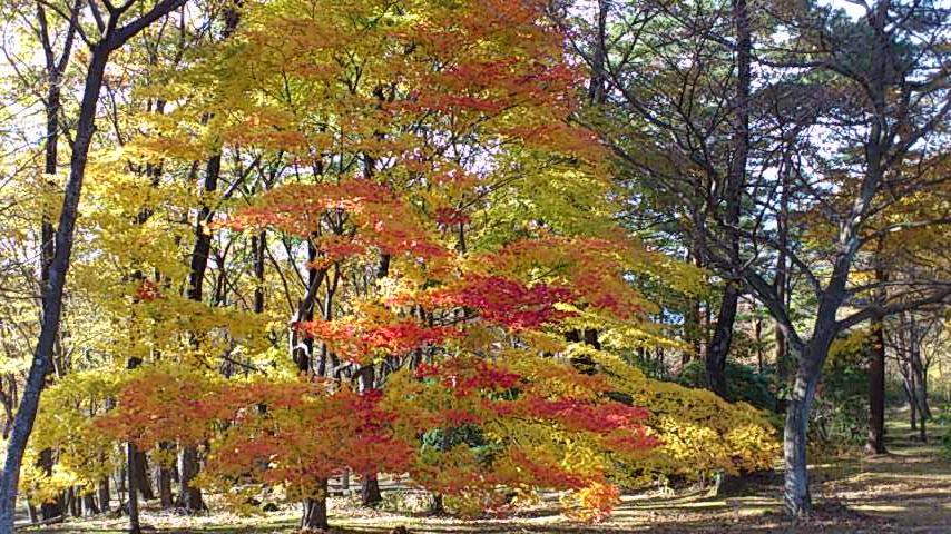 那須へお出掛けして来ました。