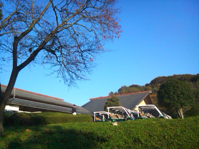 青い空、白い雲、すこし紅葉。