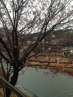 伊豆旅行♪