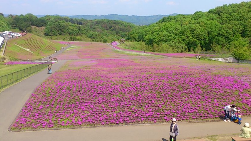 気分転換・・・