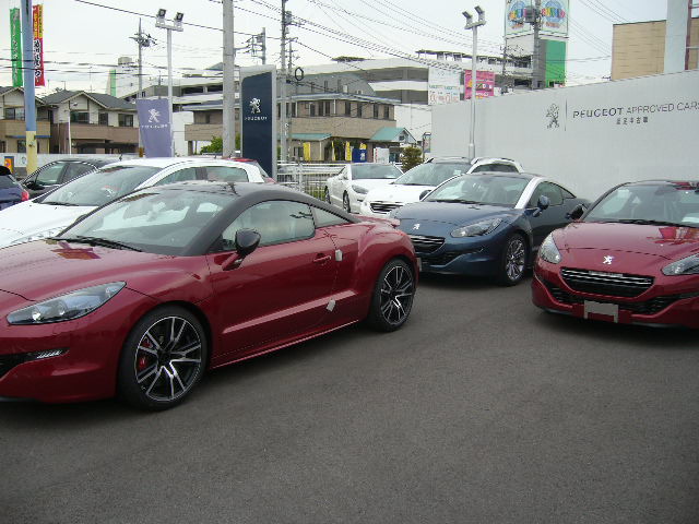 RCZがいっぱい
