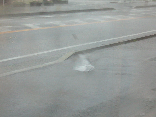 雷雨です