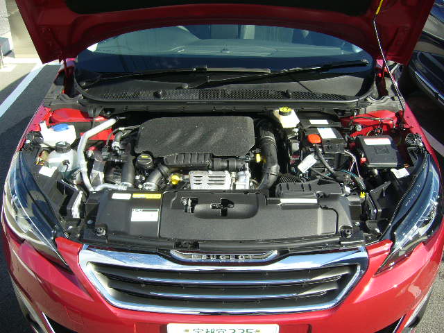 308内覧会やってます