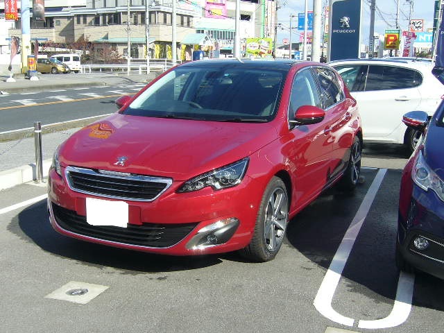 308内覧会やってます