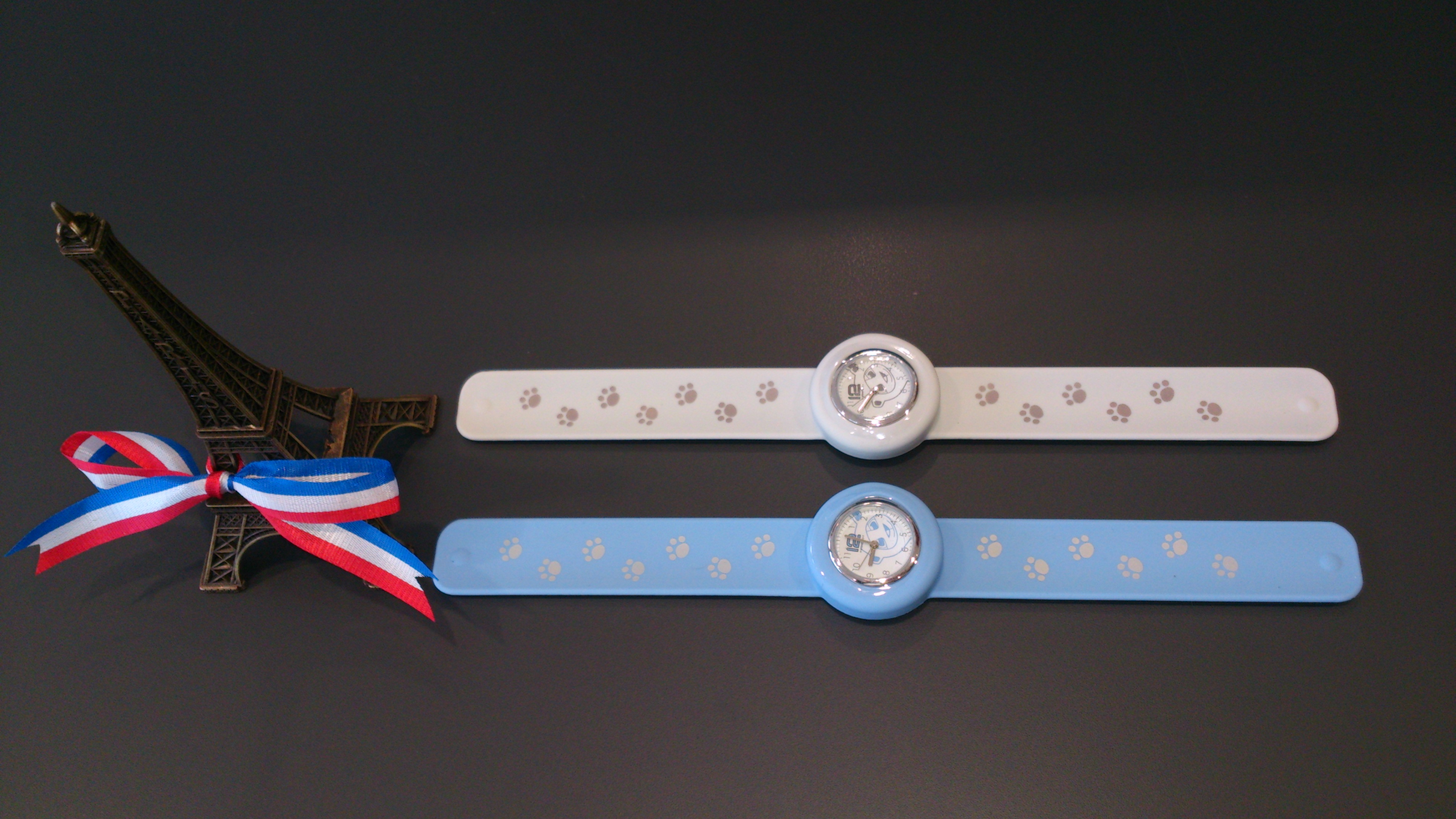 新しい仲間が加わりました