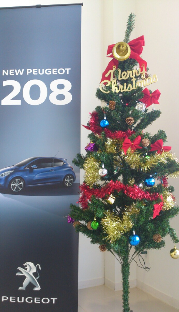 ショールームもクリスマス・・・・