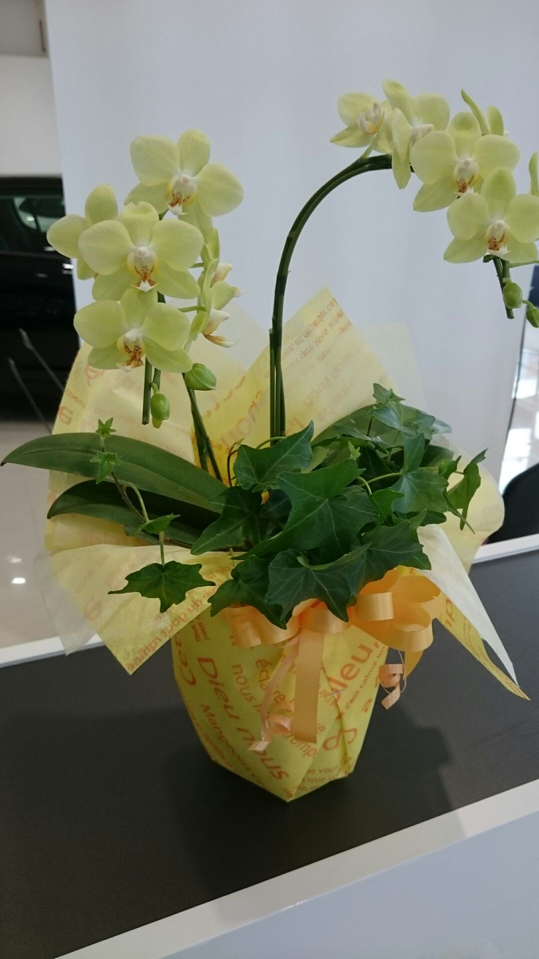 お花で幸せ♪