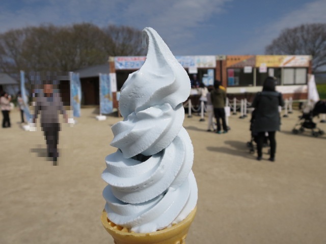 ネモフィラの丘