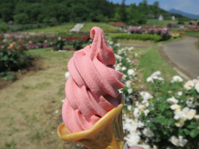 茨城県フラワーパーク