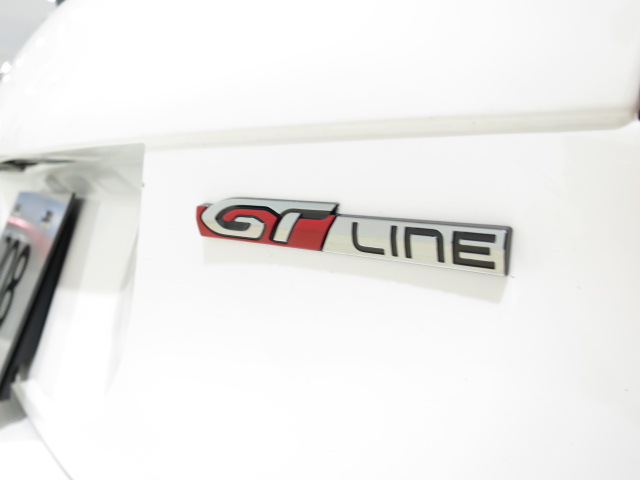限定モデル208GT Lineを展示中