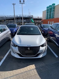 新型208　色とりどり☆彡