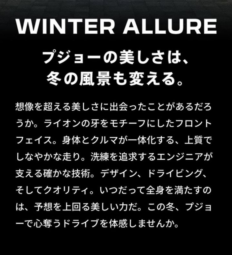 WINTER　ALLURE　フェア明日まで開催中