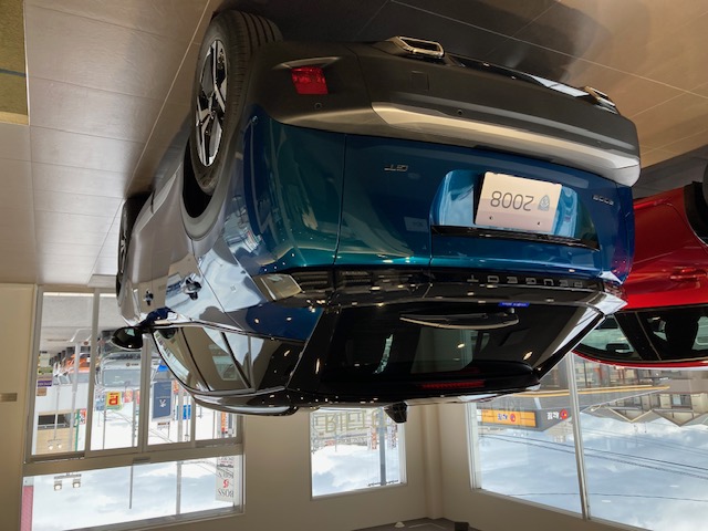 2008限定車のご案内🚗