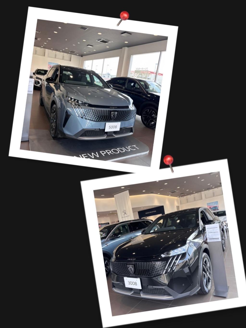 新しい車をご紹介します‼