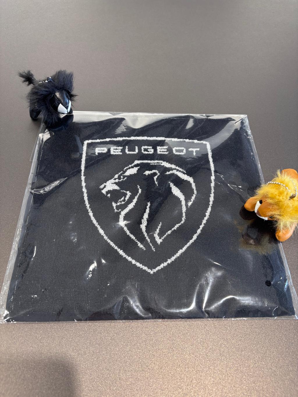 4/25.26はデビューフェア！！