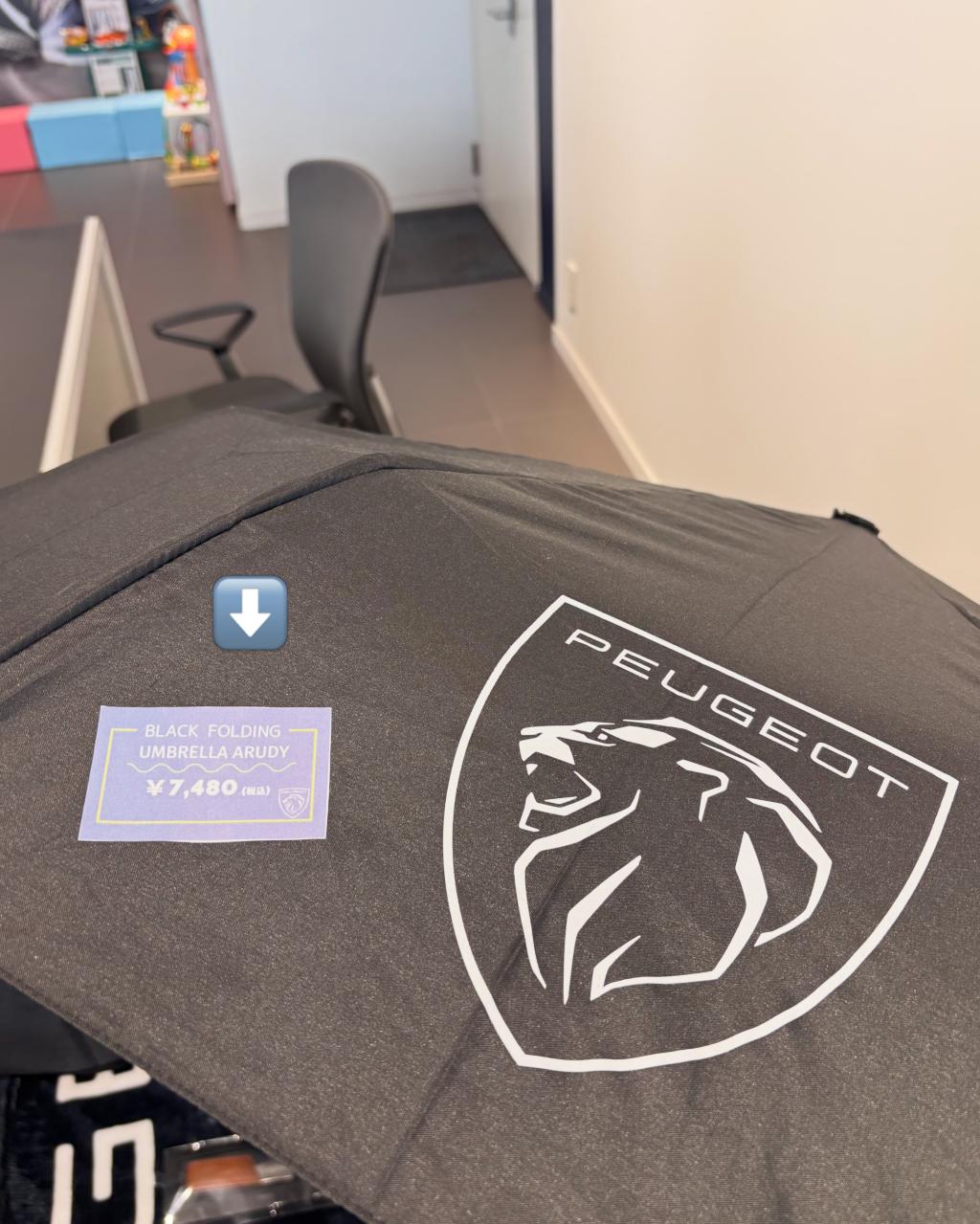 Peugeot　Umbrella☔