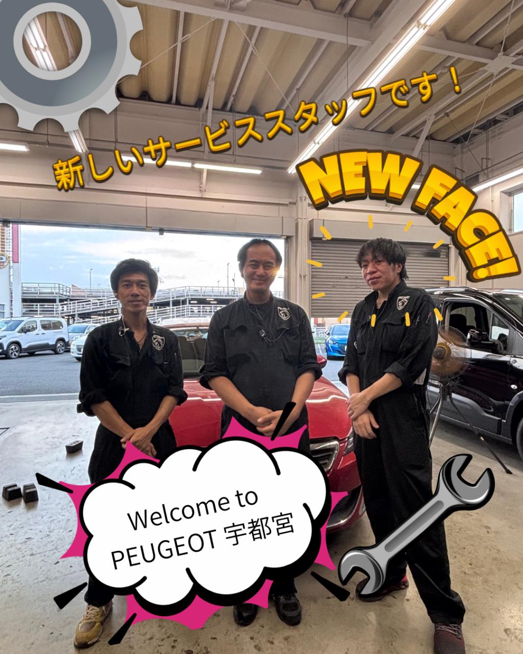 新しいサービススタッフです！