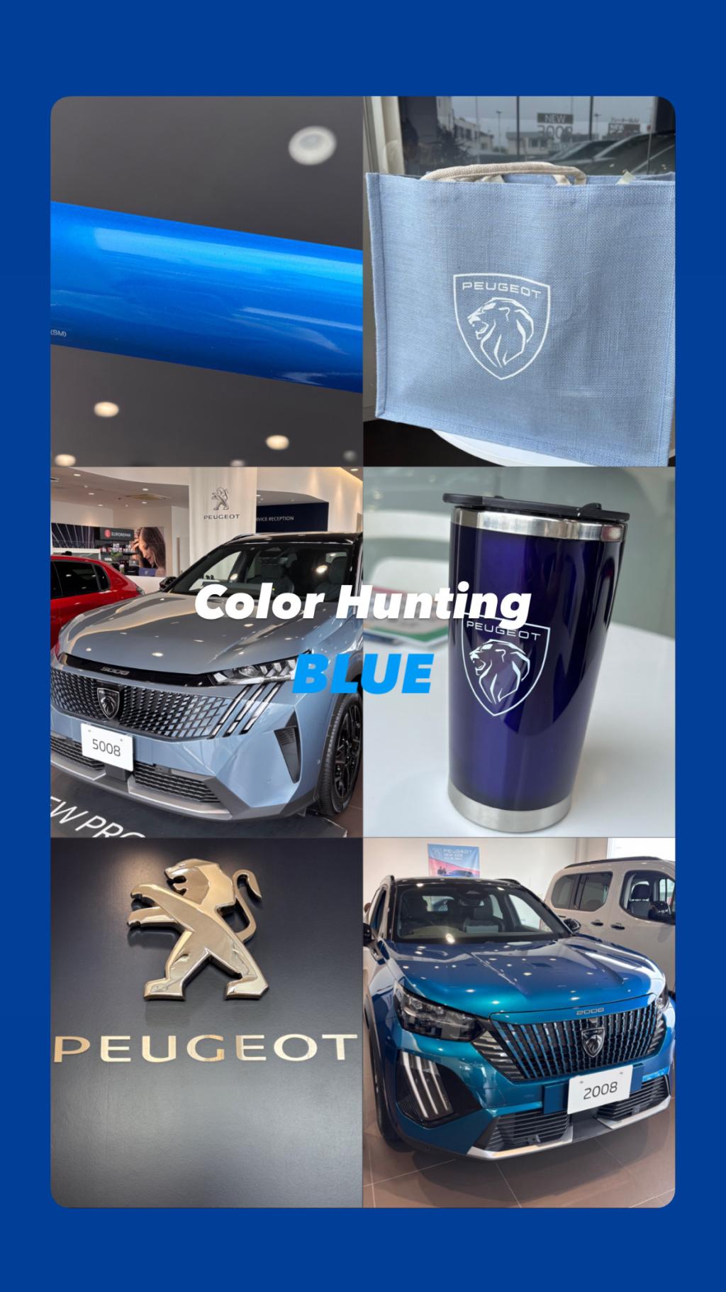 Color Hunting in Peugeot Utsunomiya