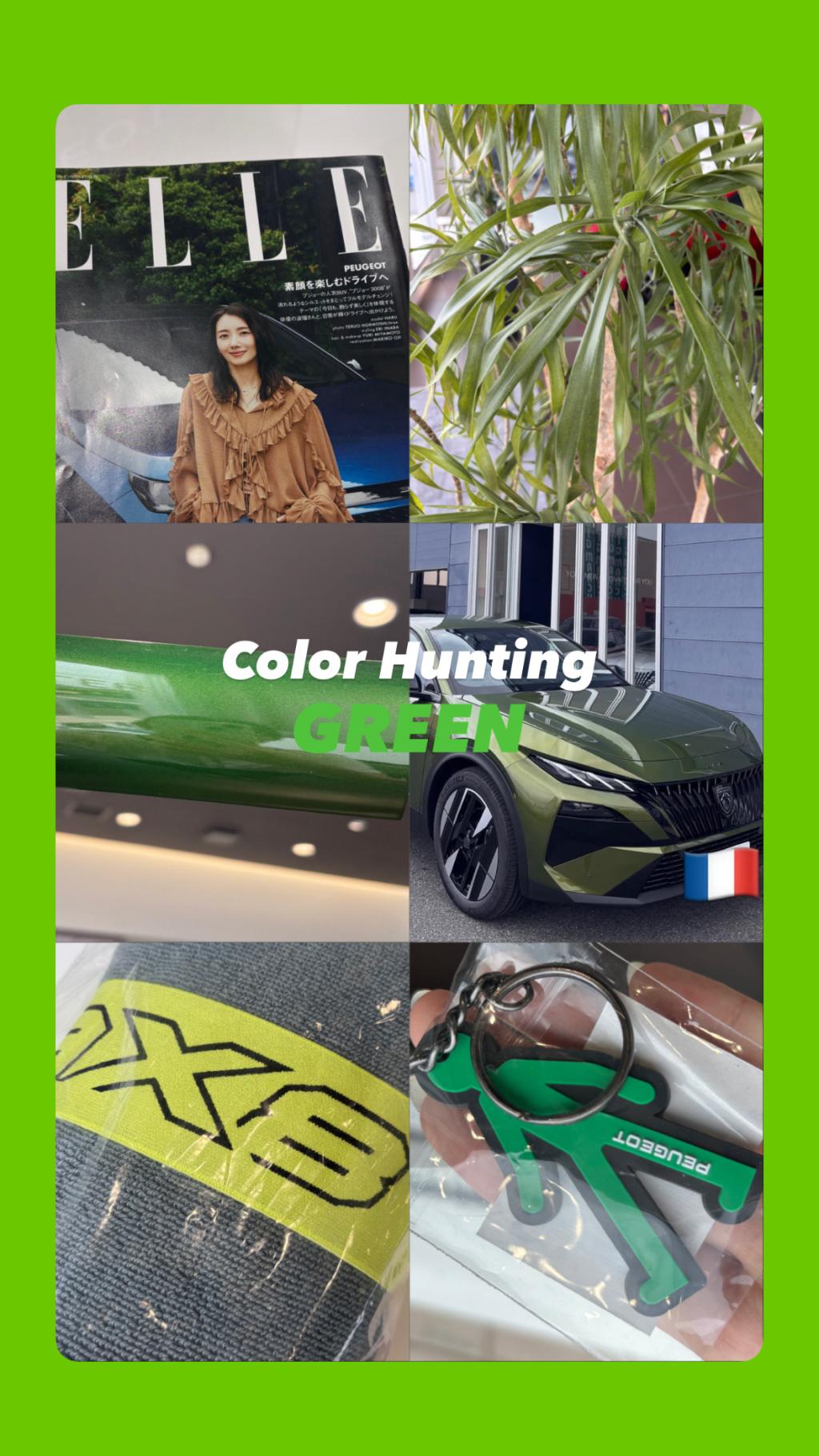 Color Hunting in Peugeot Utsunomiya