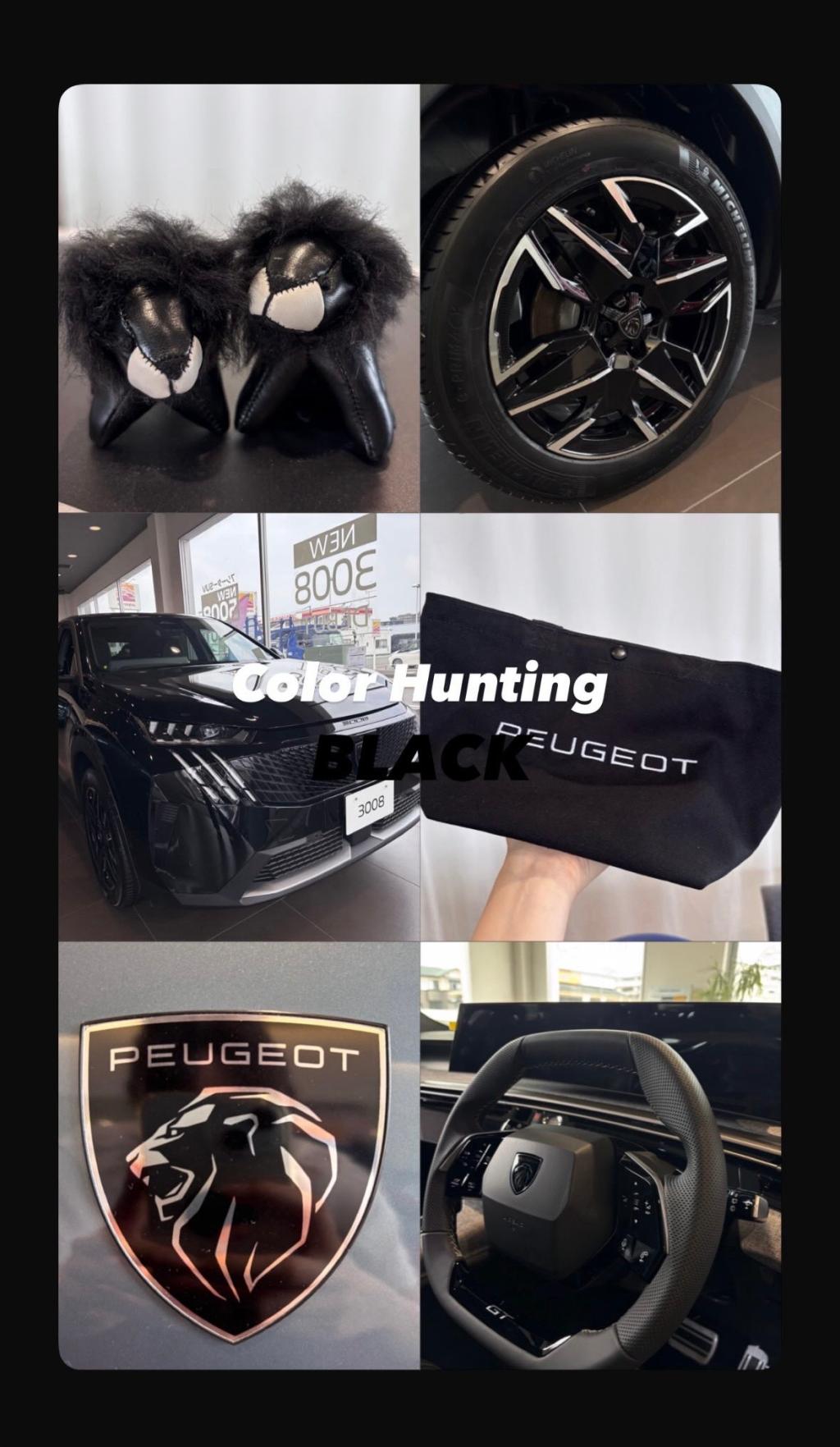 Color Hunting in Peugeot Utsunomiya