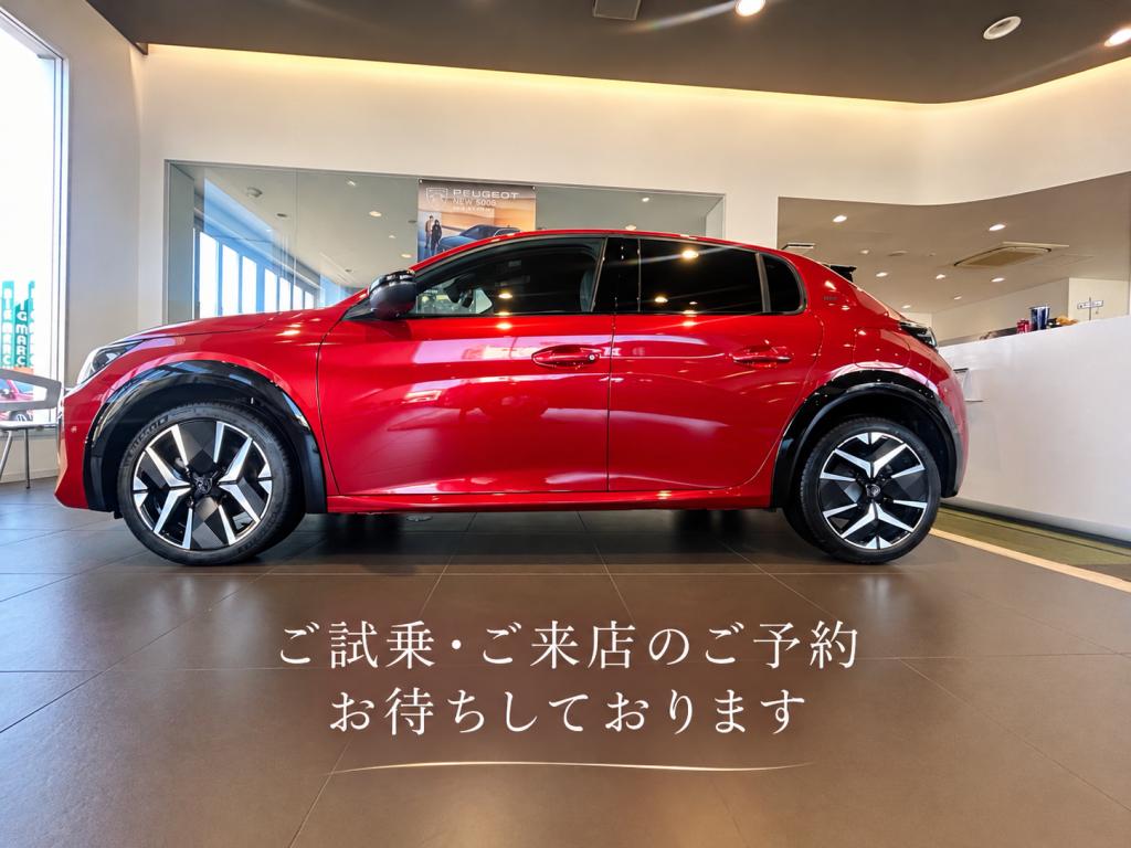 ⭐展示車紹介⭐