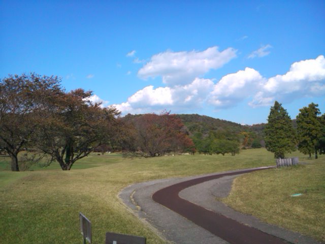 青い空、白い雲、すこし紅葉。