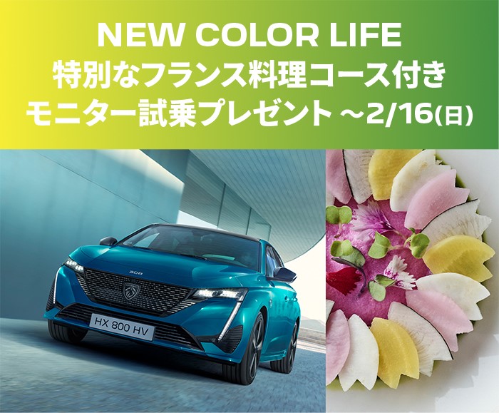 ✨308ディーゼル特別仕様車登場✨