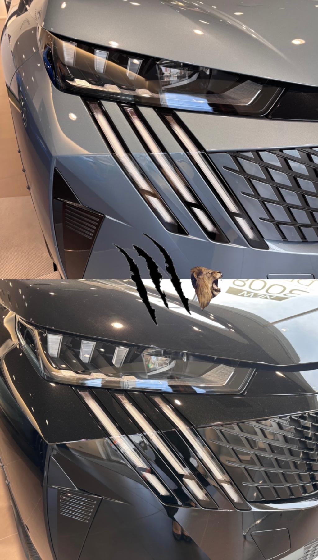 試乗キャンペーンのお知らせ📣