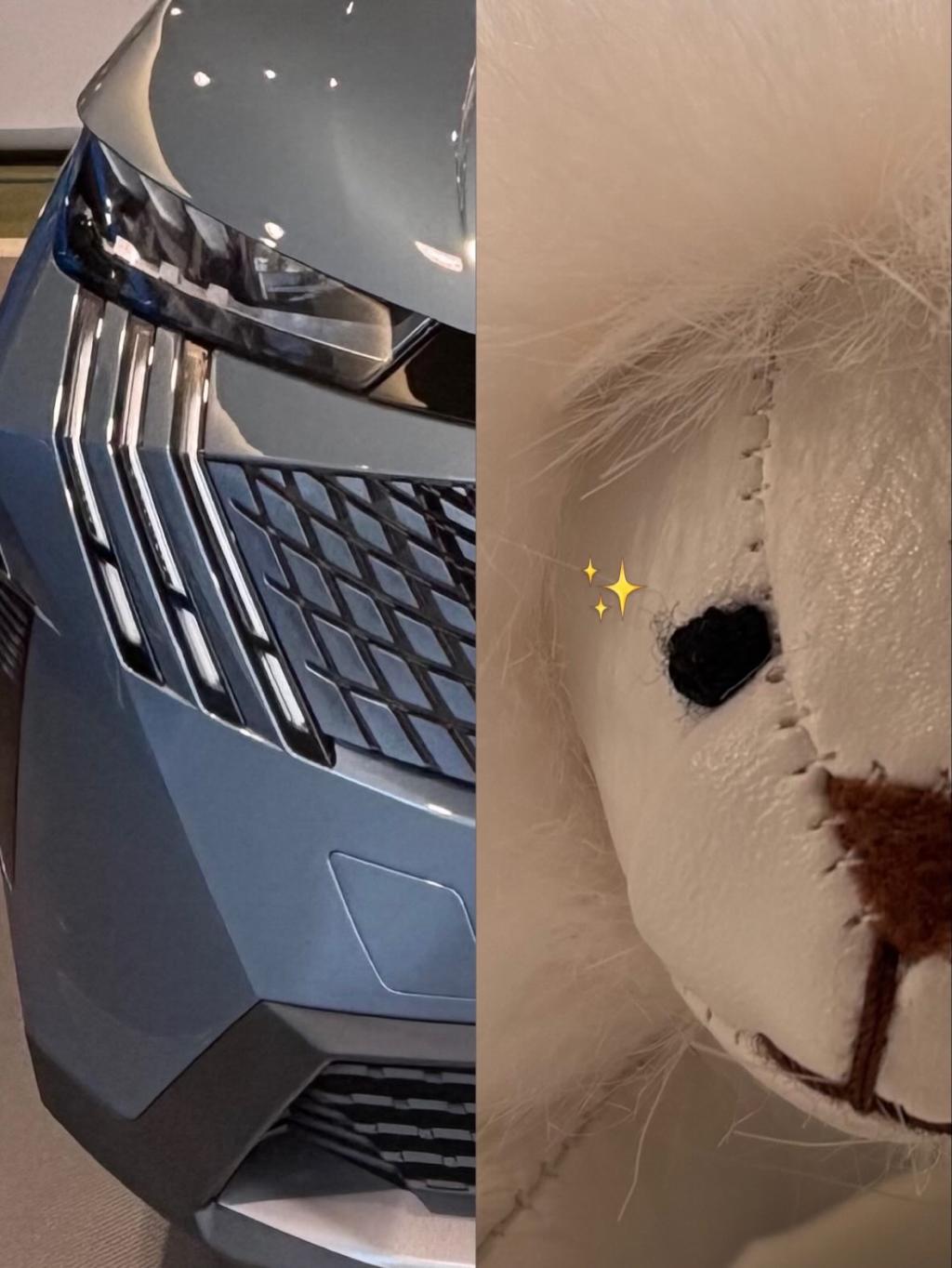 試乗キャンペーンのお知らせ📣